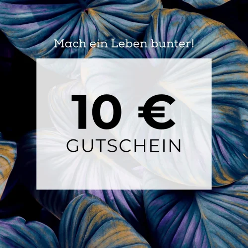 10,00 € Gutschein
